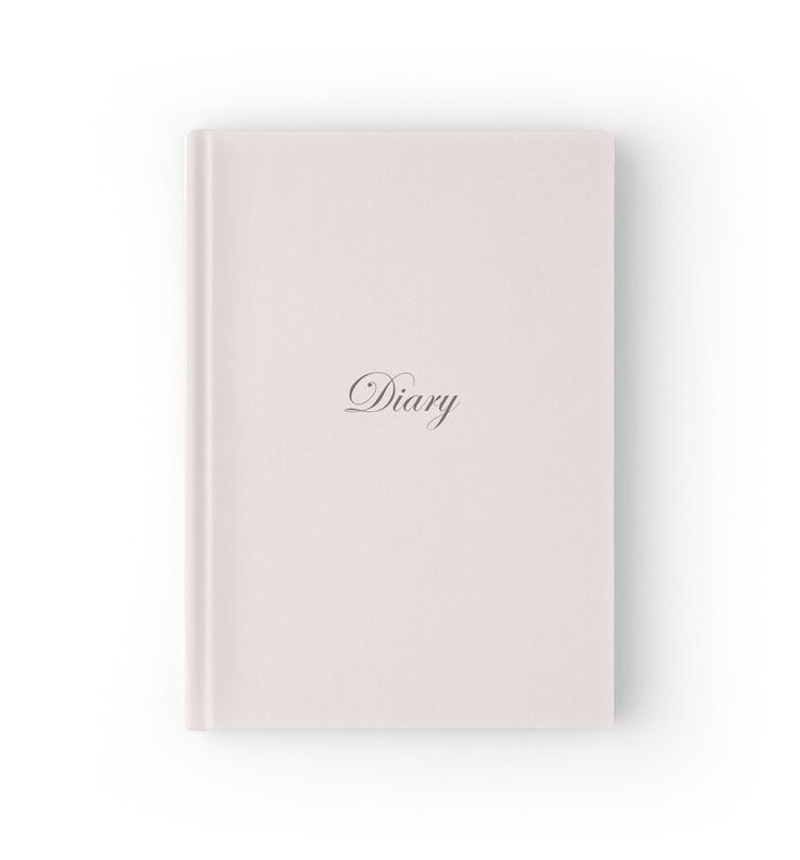 Diary Example